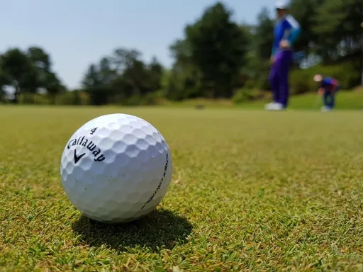 Which sport is shown in the photograph?